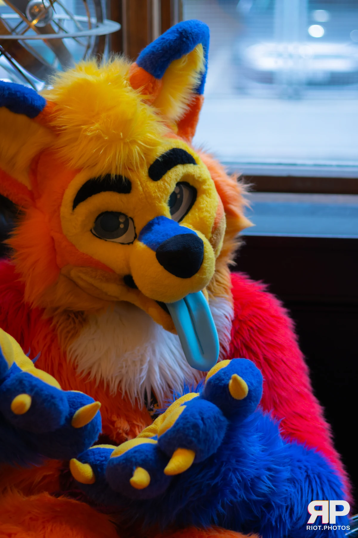 Waka Waka Bingo - May 29, 2025 — 29 May 2025, Fluffy Riot photography — photo 12