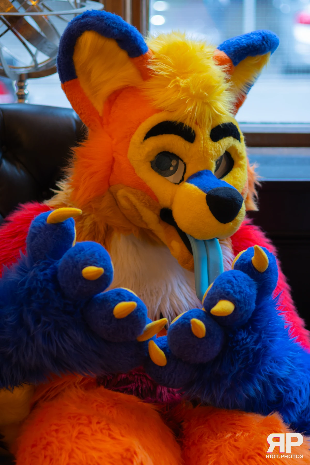 Waka Waka Bingo - May 29, 2025 — 29 May 2025, Fluffy Riot photography — photo 13