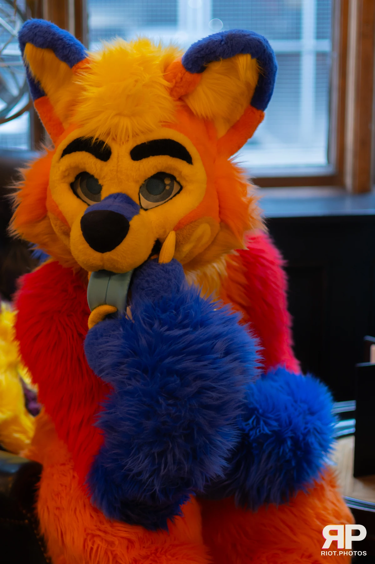 Waka Waka Bingo - May 29, 2025 — 29 May 2025, Fluffy Riot photography — photo 14
