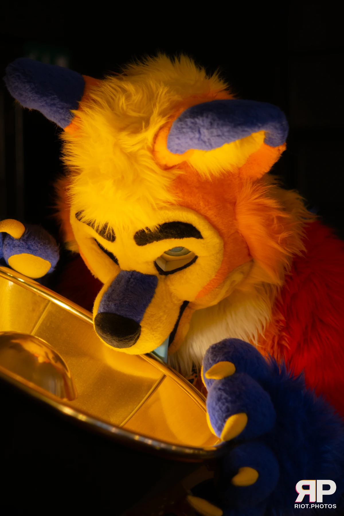 Waka Waka Bingo - May 29, 2025 — 29 May 2025, Fluffy Riot photography — photo 15