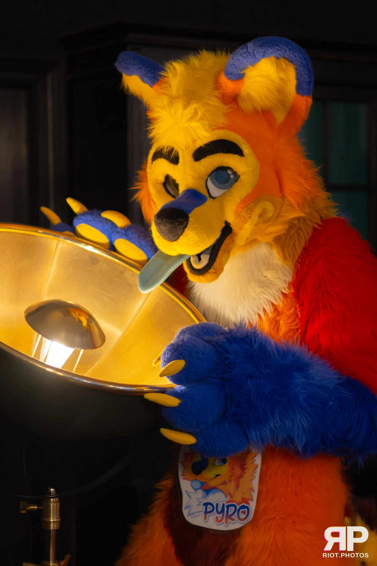 Waka Waka Bingo - May 29, 2025 — 29 May 2025, Fluffy Riot photography — photo 18