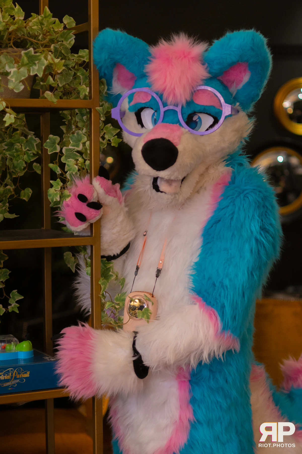 Pup Kaz — furry & pup photography by Fluffy Riot — photo 471
