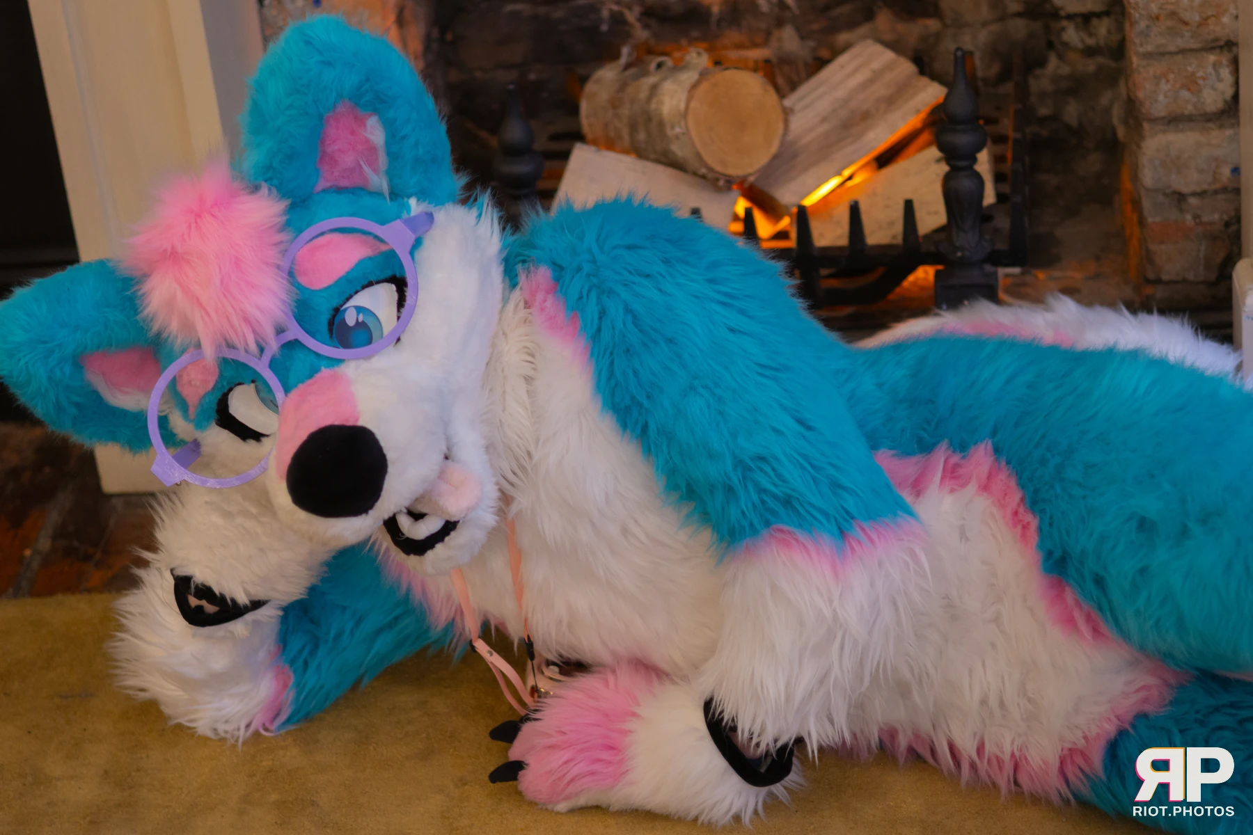 Pup Kaz — furry & pup photography by Fluffy Riot — photo 473