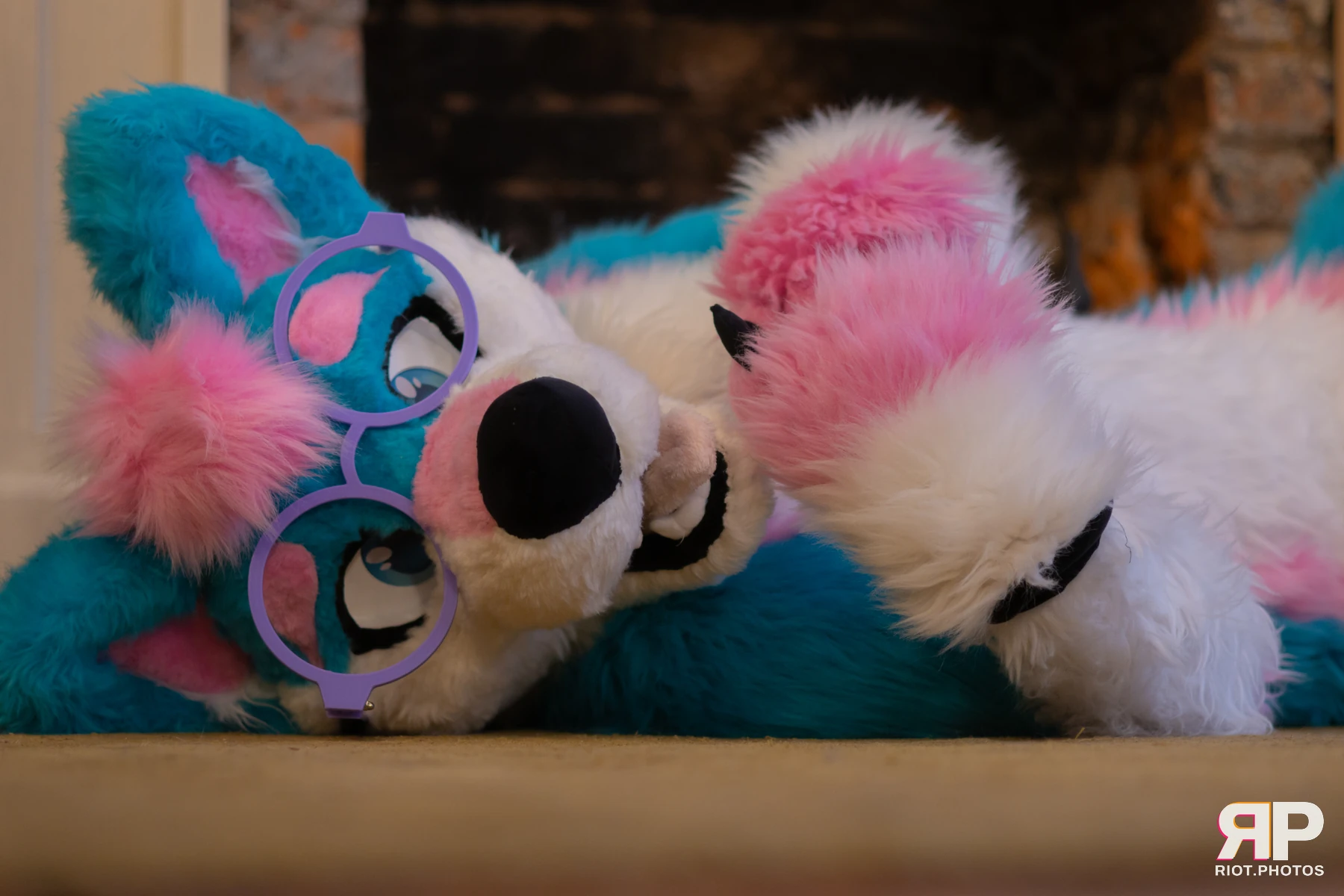 Pup Kaz — furry & pup photography by Fluffy Riot — photo 474