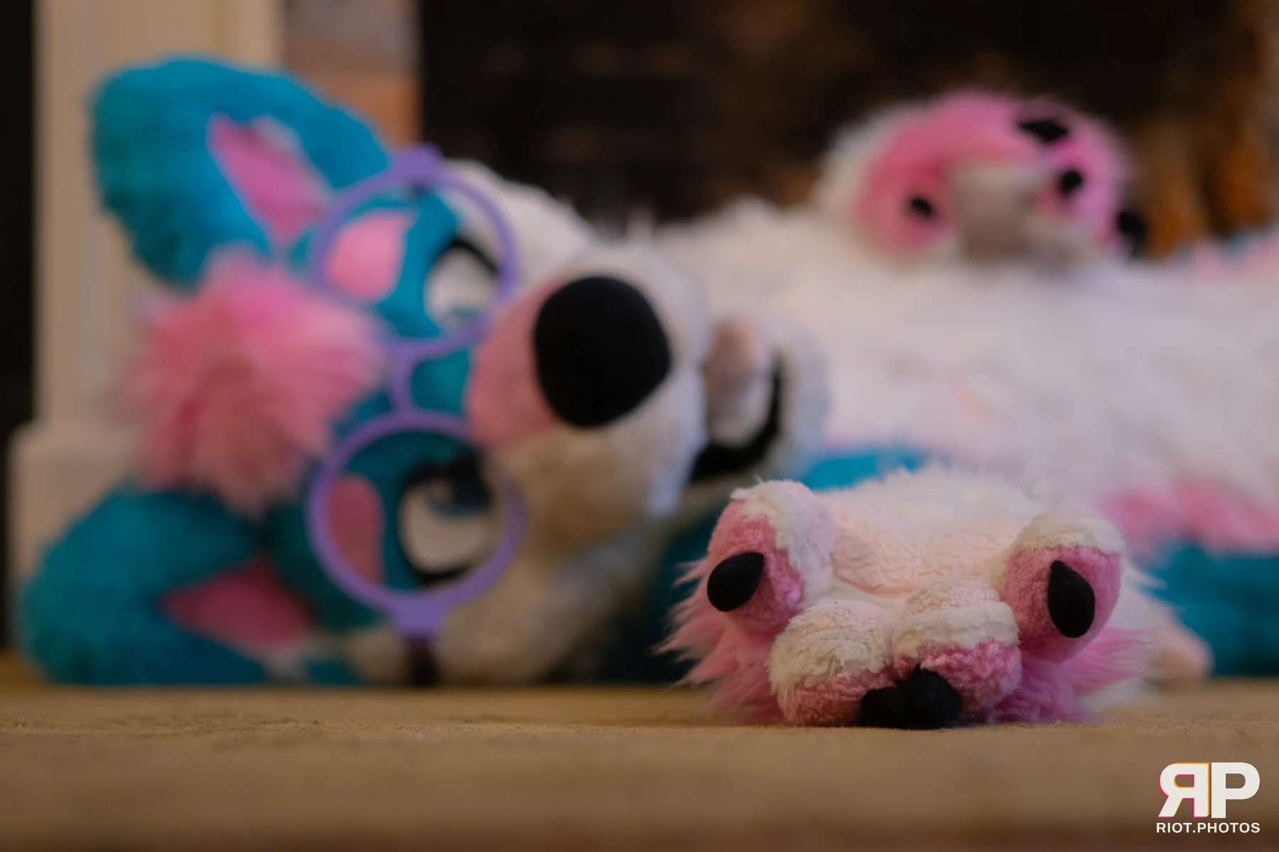 Pup Kaz — furry & pup photography by Fluffy Riot — photo 475