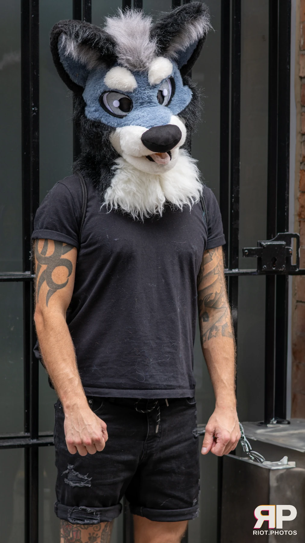 Pup Nathan — furry & pup photography by Fluffy Riot — photo 166