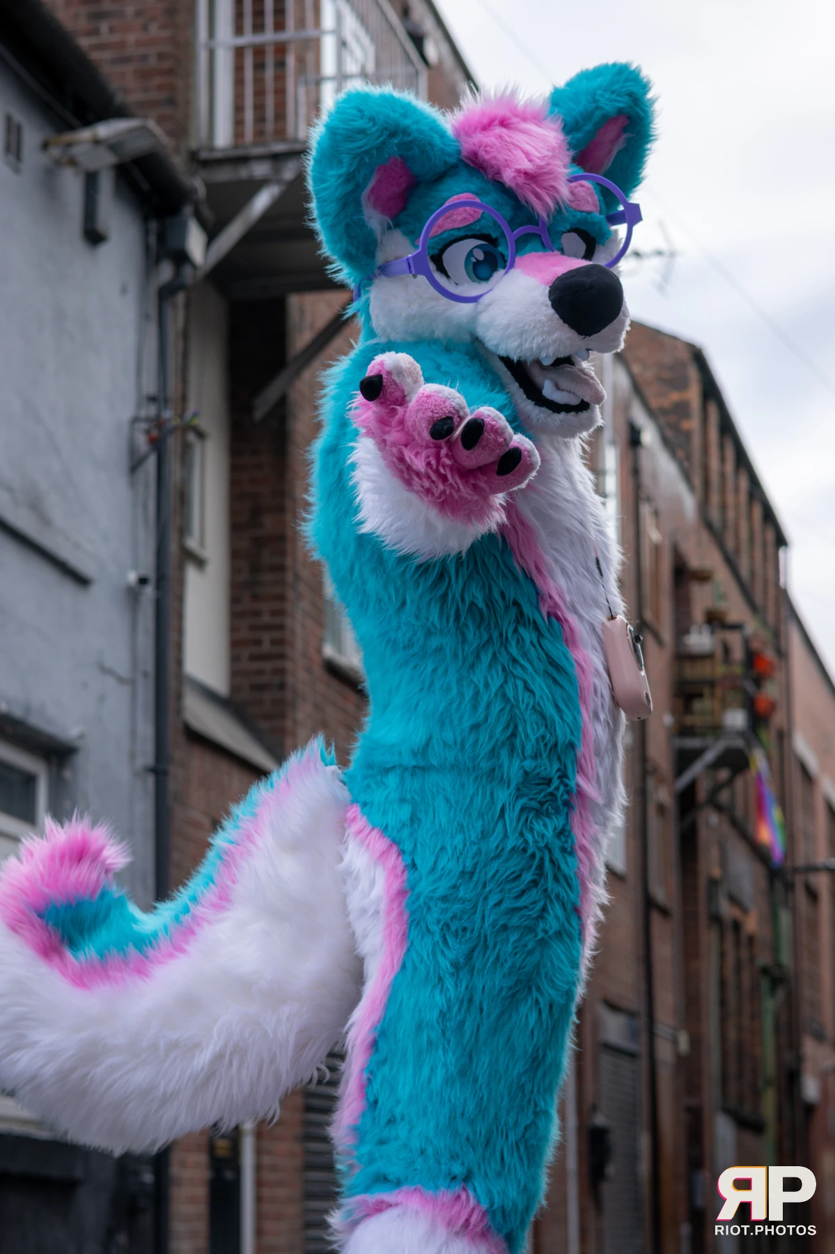 Pup Kaz — furry & pup photography by Fluffy Riot — photo 479