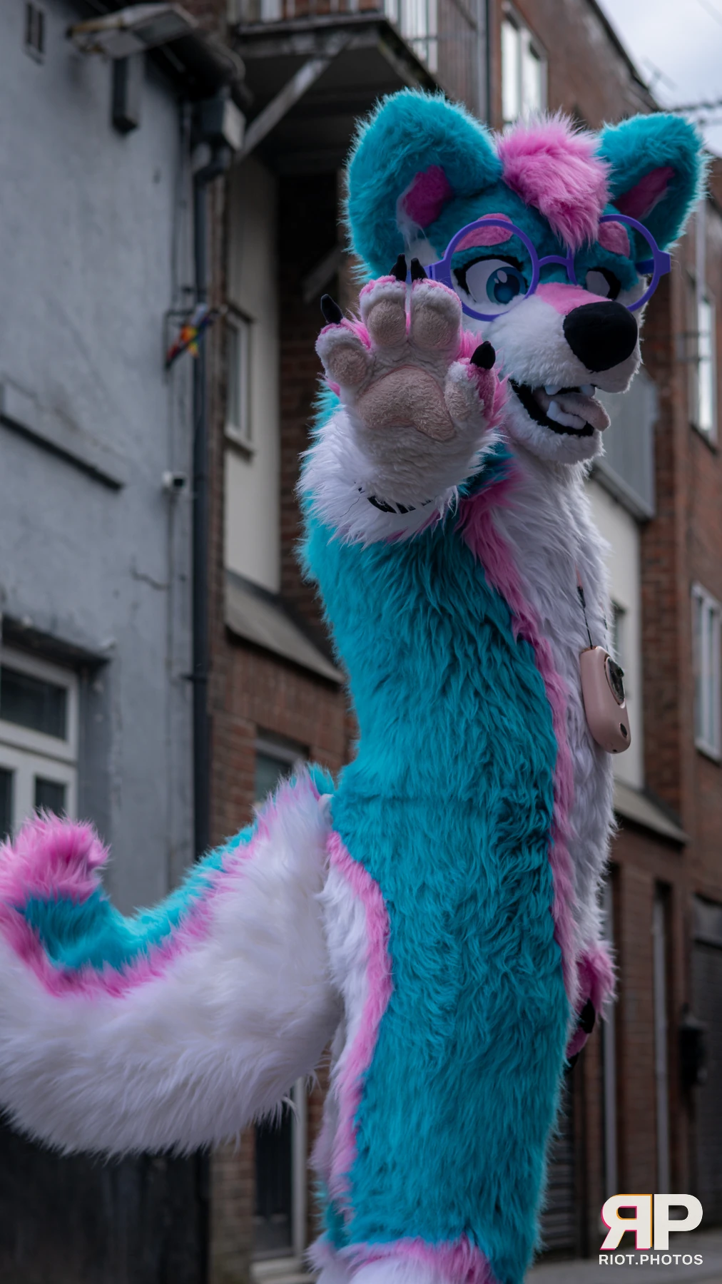 Pup Kaz — furry & pup photography by Fluffy Riot — photo 480