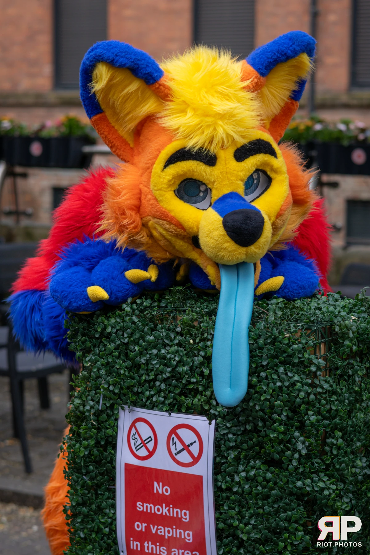 Waka Waka Bingo - May 29, 2025 — 29 May 2025, Fluffy Riot photography — photo 40