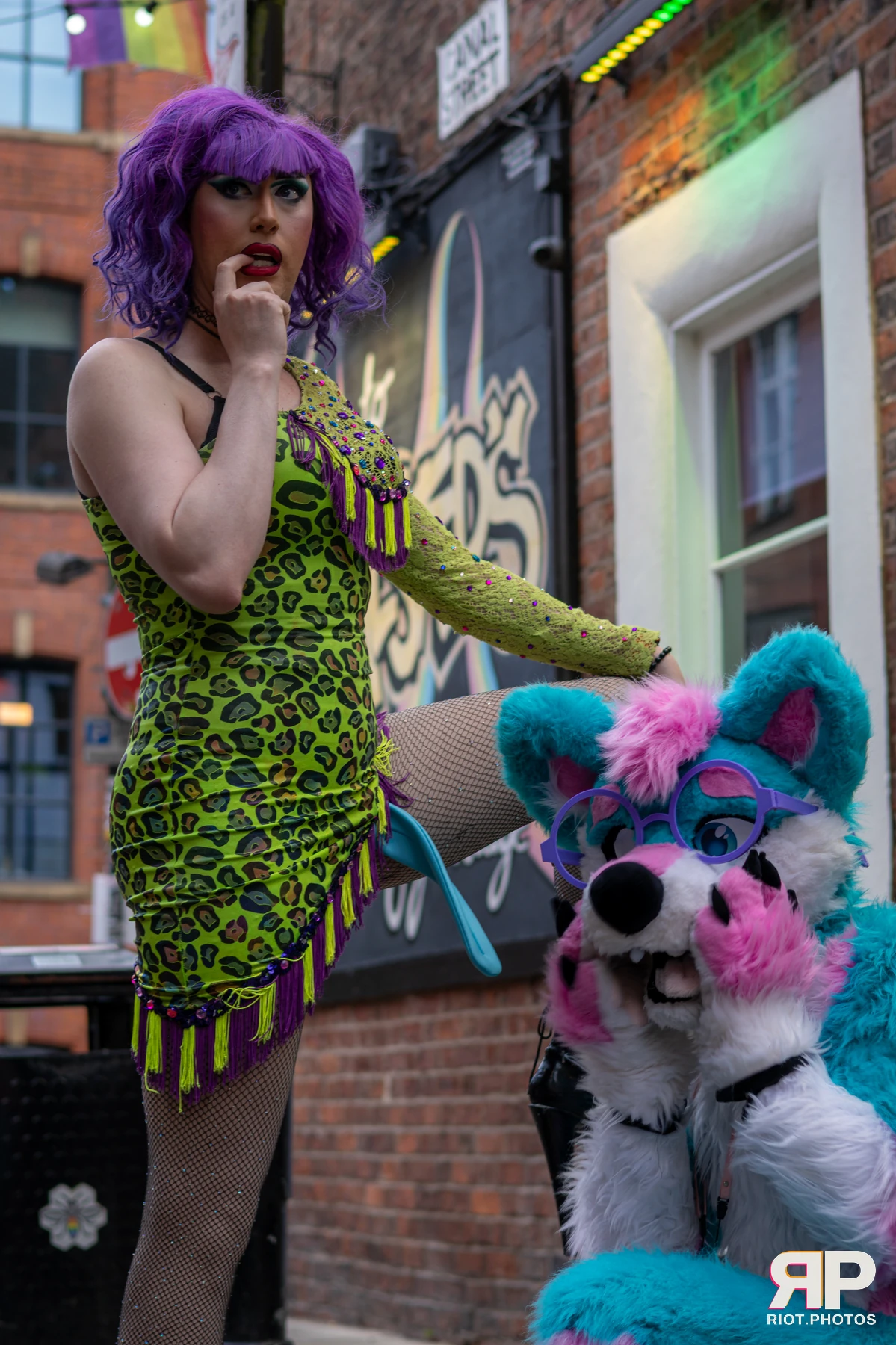 Pup Kaz — furry & pup photography by Fluffy Riot — photo 484