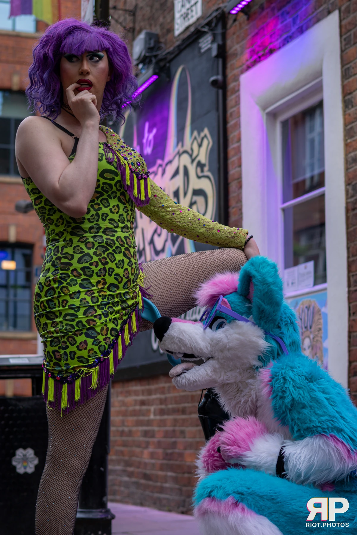Pup Kaz — furry & pup photography by Fluffy Riot — photo 485
