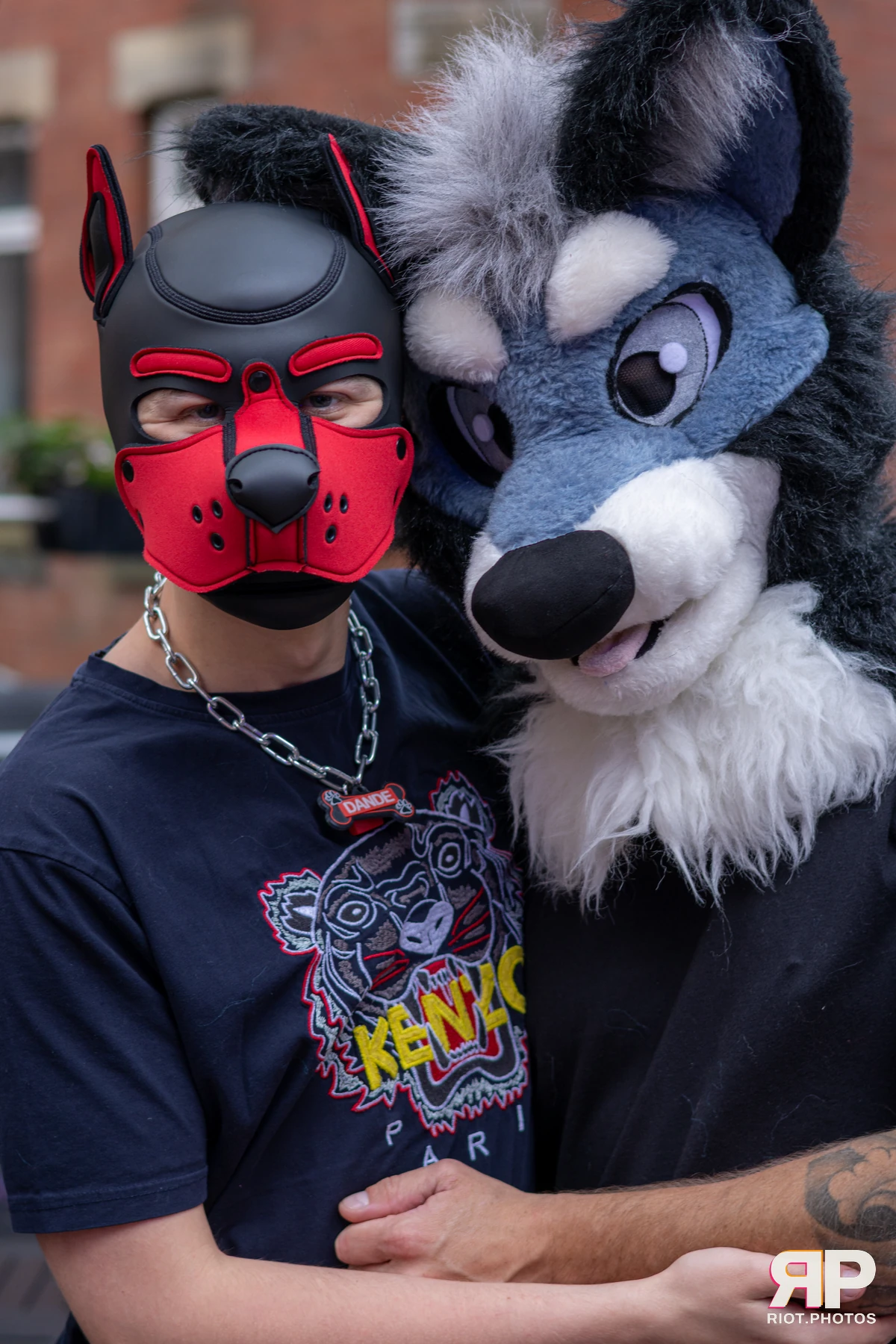 Pup Nathan — furry & pup photography by Fluffy Riot — photo 172