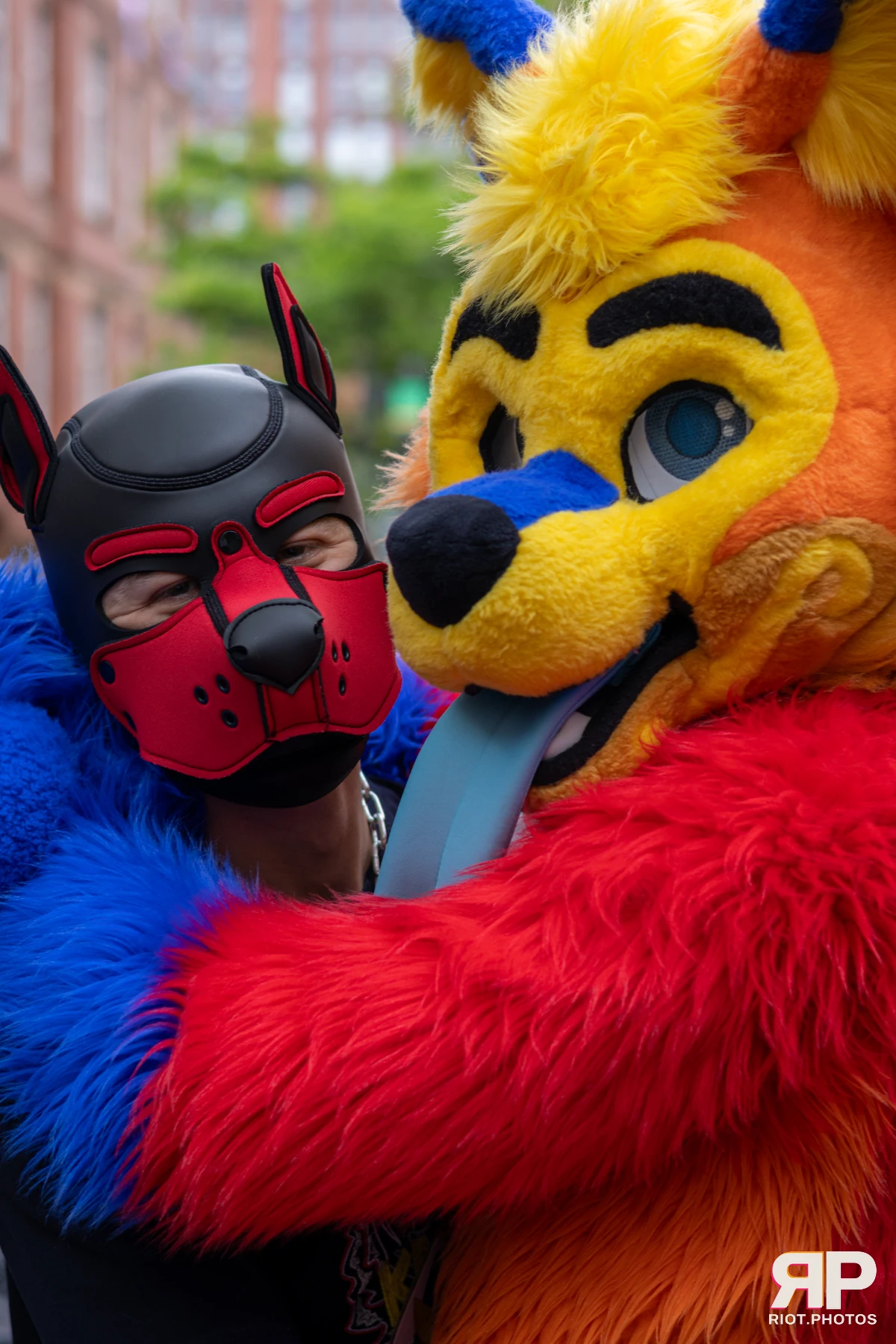 Pup Dande — furry & pup photography by Fluffy Riot — photo 81