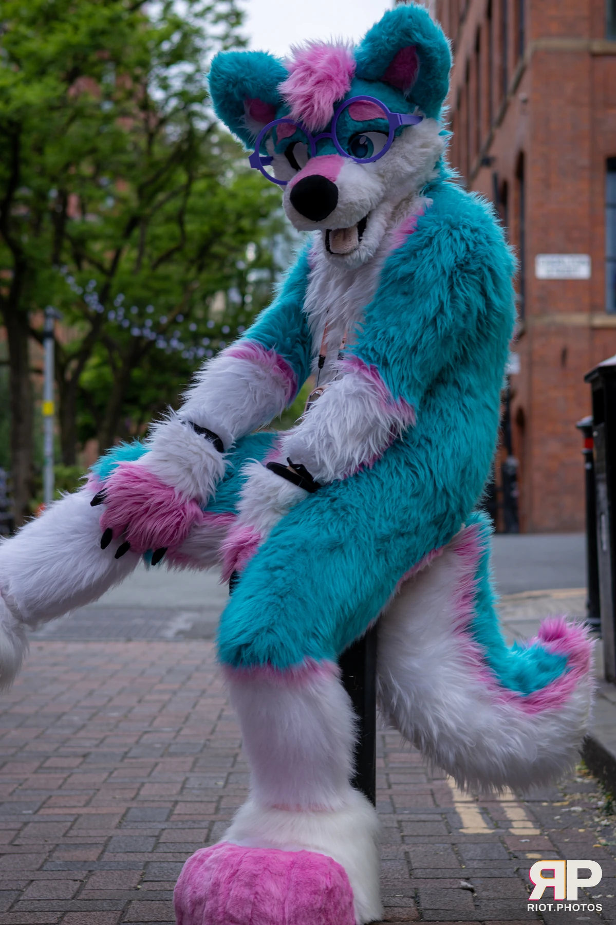 Pup Kaz — furry & pup photography by Fluffy Riot — photo 486