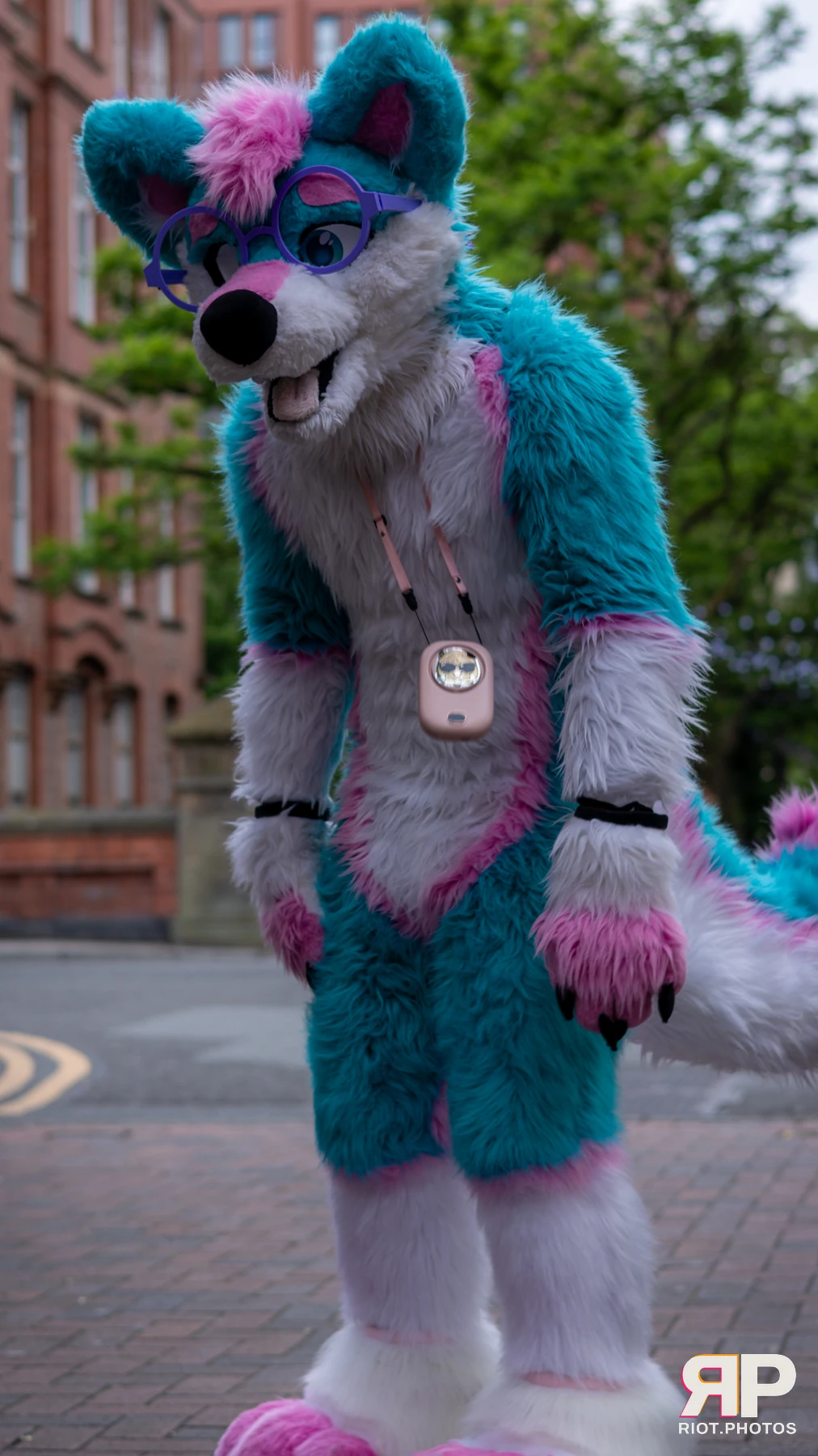 Pup Kaz — furry & pup photography by Fluffy Riot — photo 487
