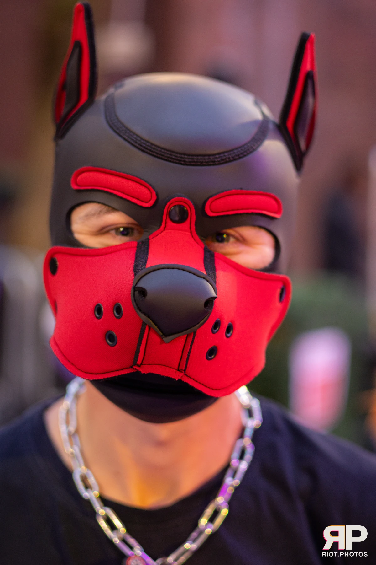 Pup Dande — furry & pup photography by Fluffy Riot — photo 82