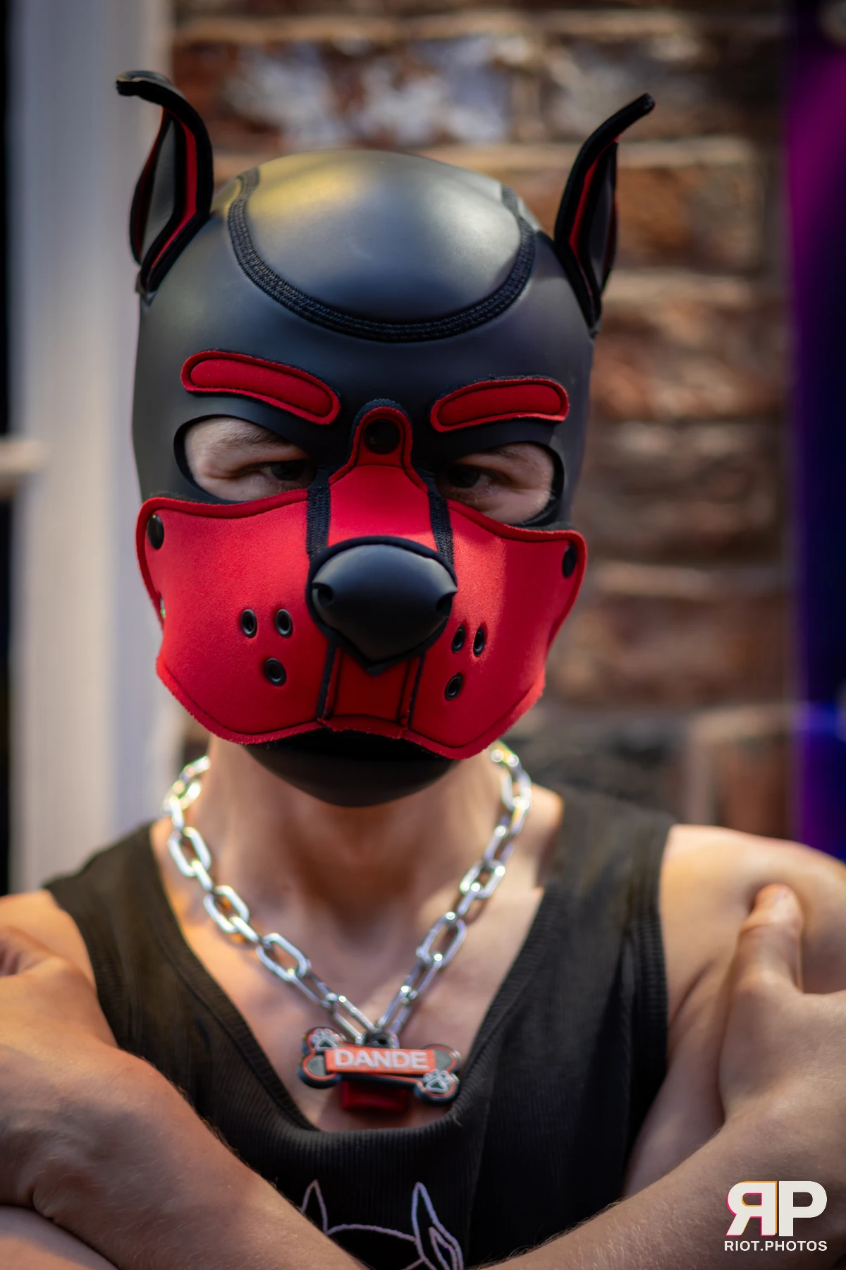 Pup Dande — furry & pup photography by Fluffy Riot — photo 75