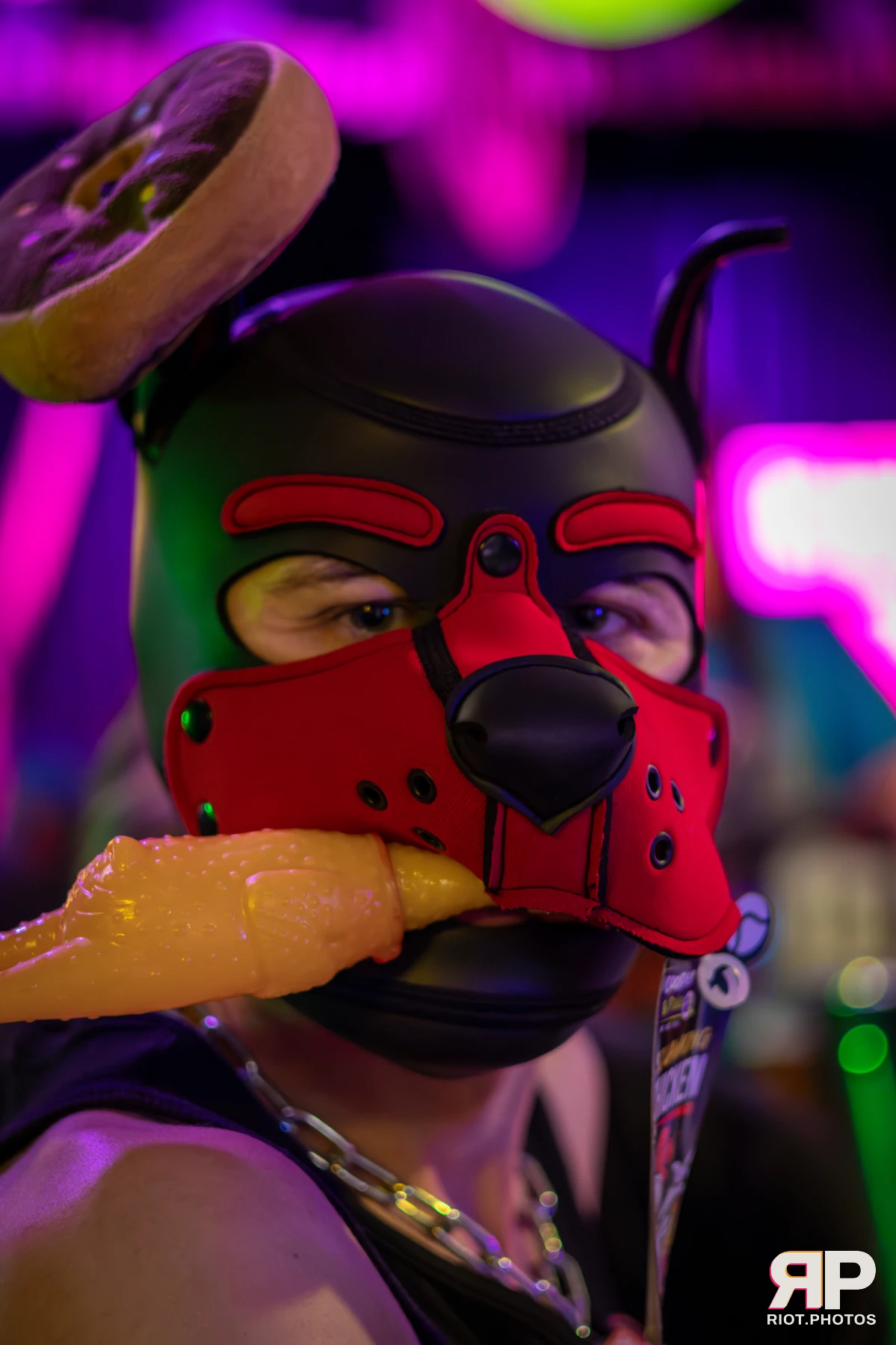 Pup Dande