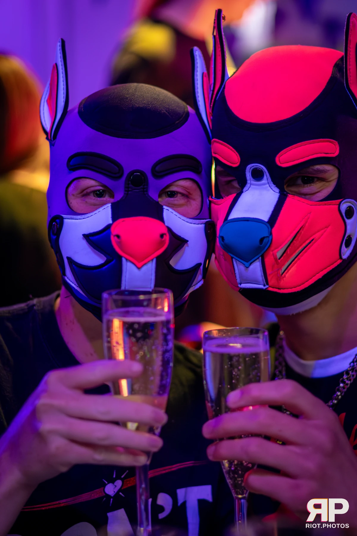 Pup Nightshade — furry & pup photography by Fluffy Riot — photo 5