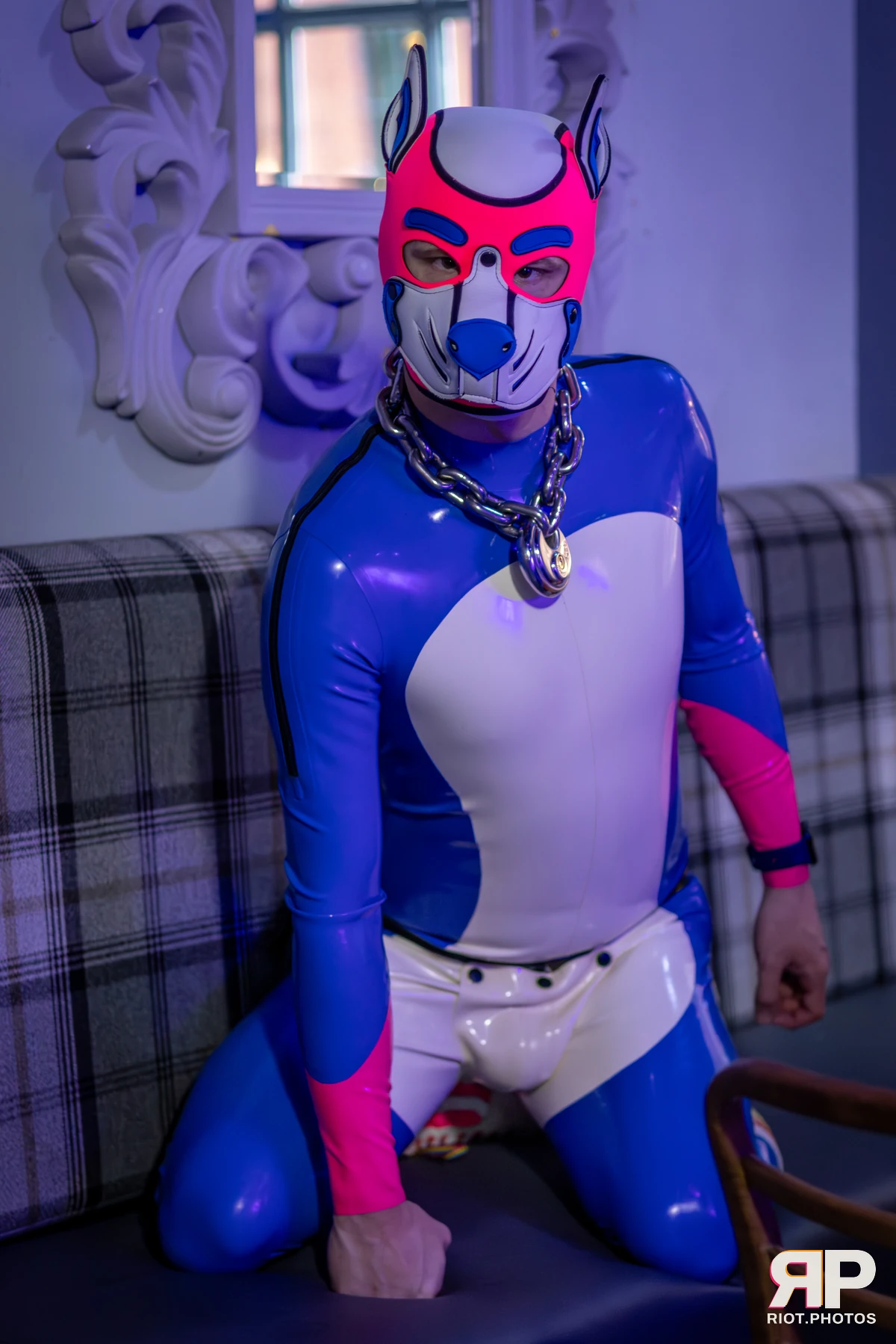 Pup Kaz — furry & pup photography by Fluffy Riot — photo 438