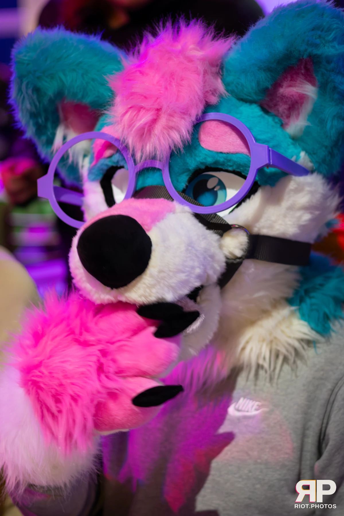 Pup Kaz — furry & pup photography by Fluffy Riot — photo 256