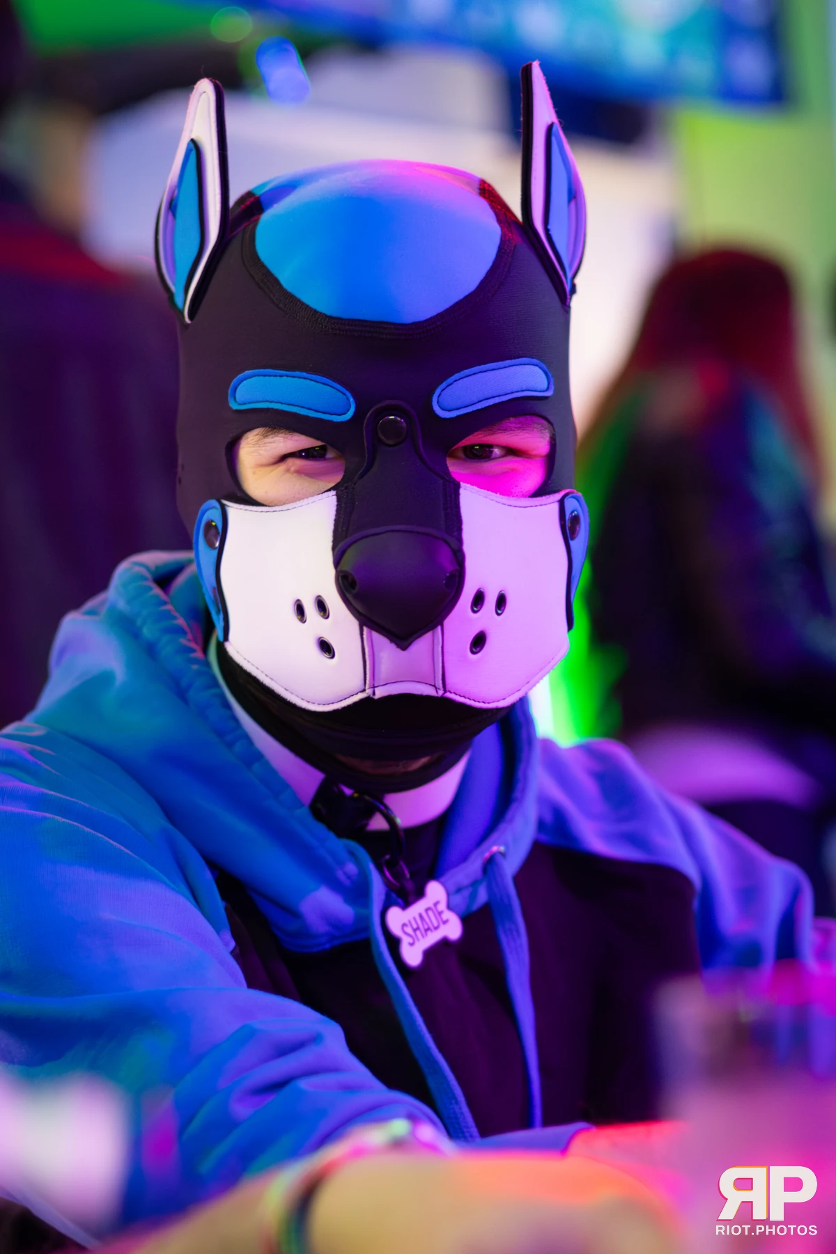 Shade — furry & pup photography by Fluffy Riot — photo 80