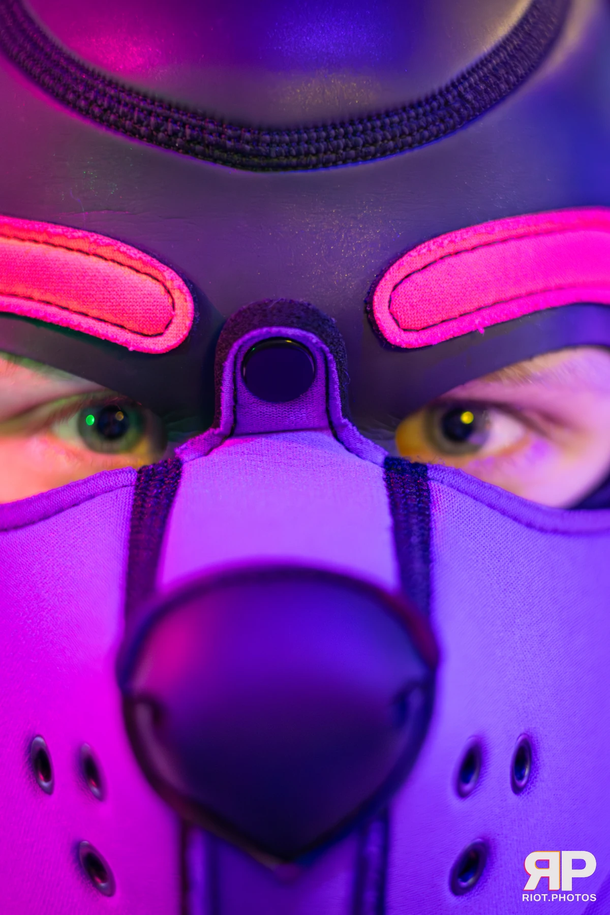Mercury — furry & pup photography by Fluffy Riot — photo 103