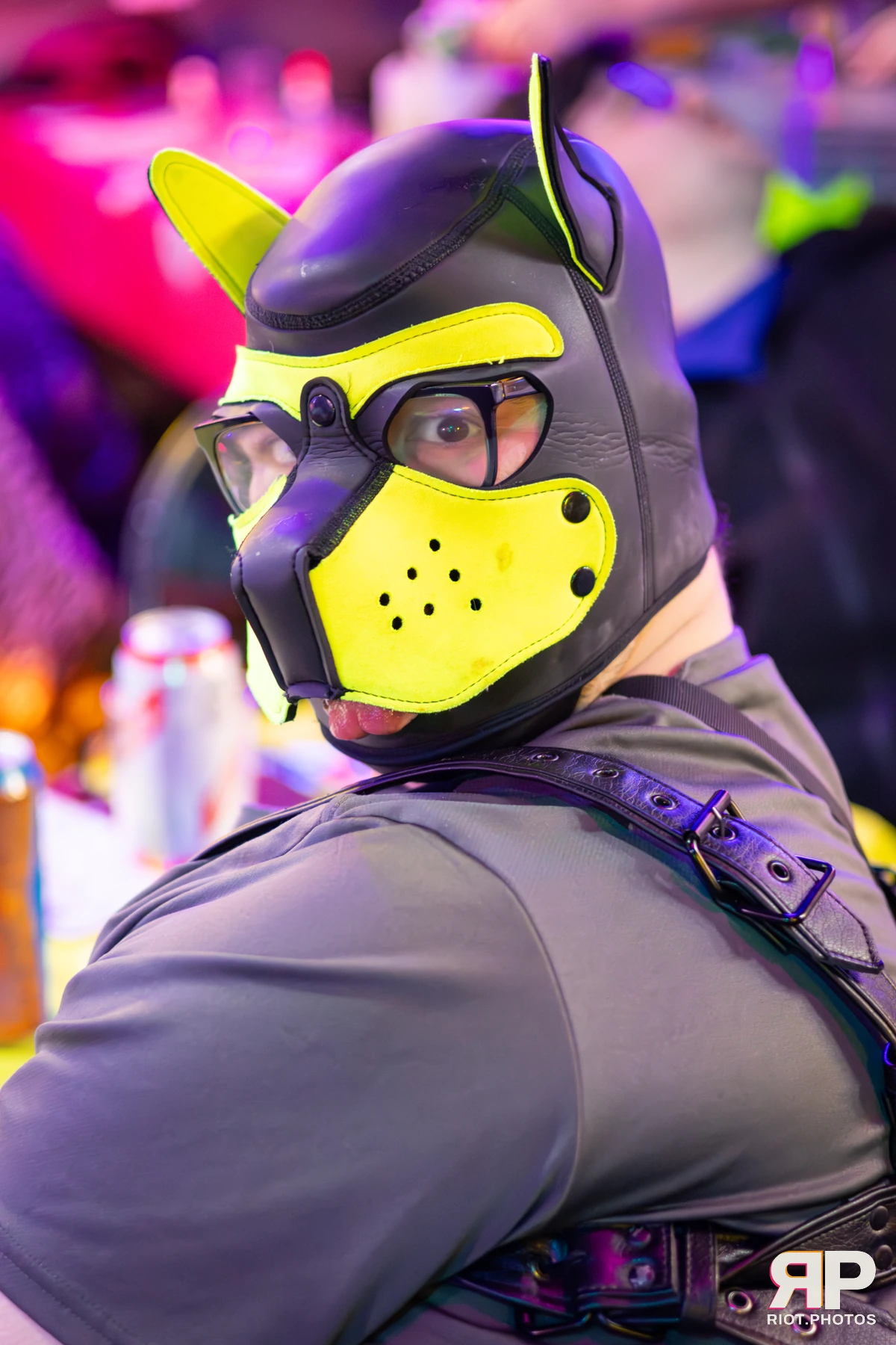 Waka Waka Bingo - November 13, 2025 — 13 Nov 2025, Fluffy Riot photography — photo 25