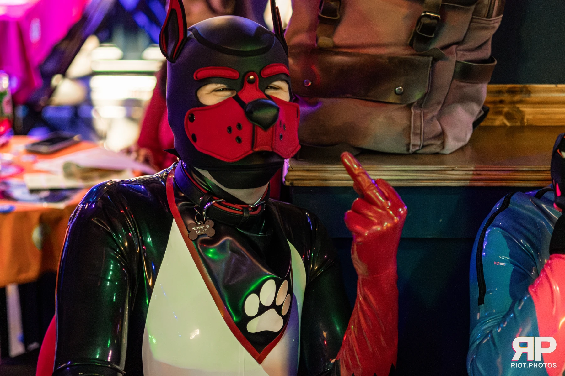Waka Waka Bingo - June 11, 2026 — 11 Jun 2026, Fluffy Riot photography — photo 2