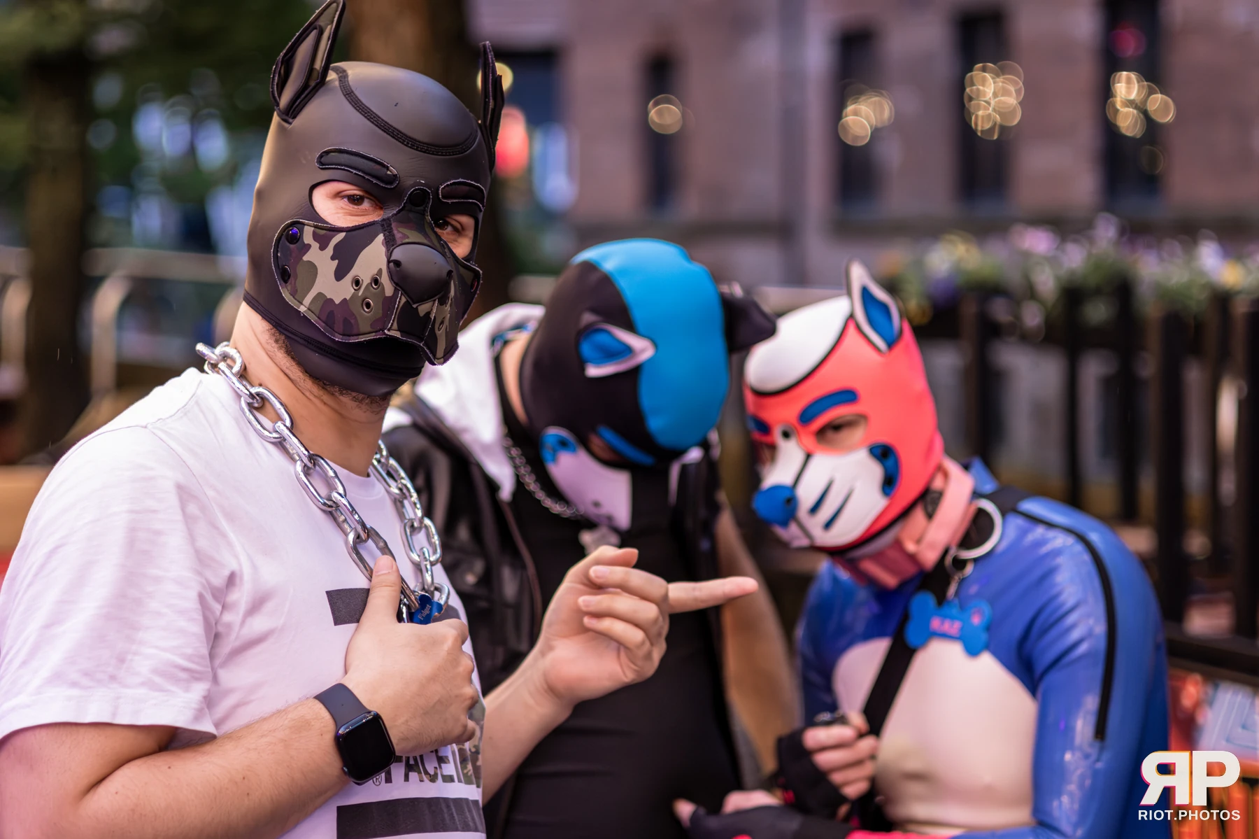 Shade — furry & pup photography by Fluffy Riot — photo 19