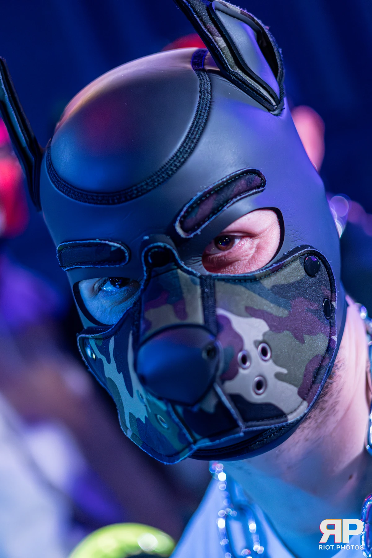 Waka Waka Bingo - June 11, 2026 — 11 Jun 2026, Fluffy Riot photography — photo 21
