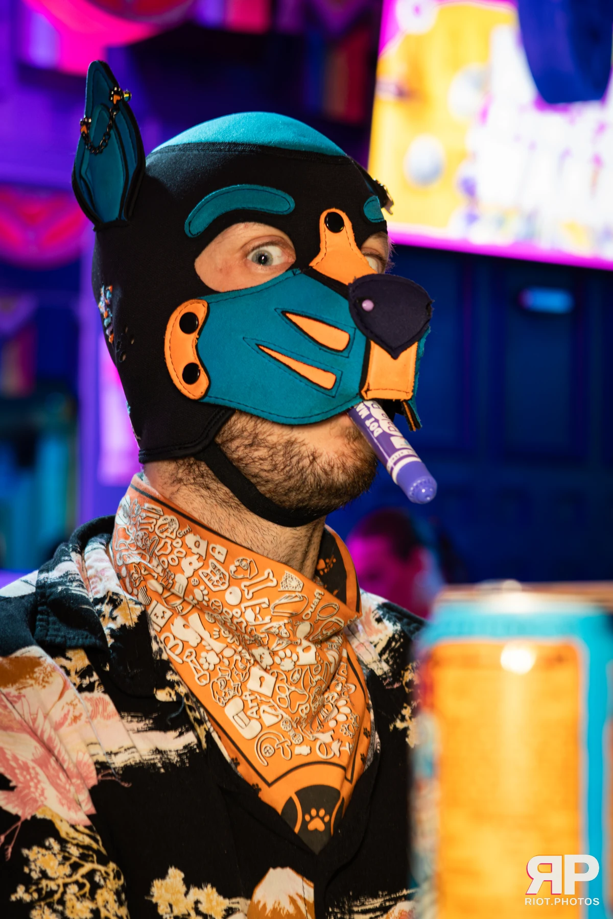 Waka Waka Bingo - August 27, 2026 — 27 Aug 2026, Fluffy Riot photography — photo 7
