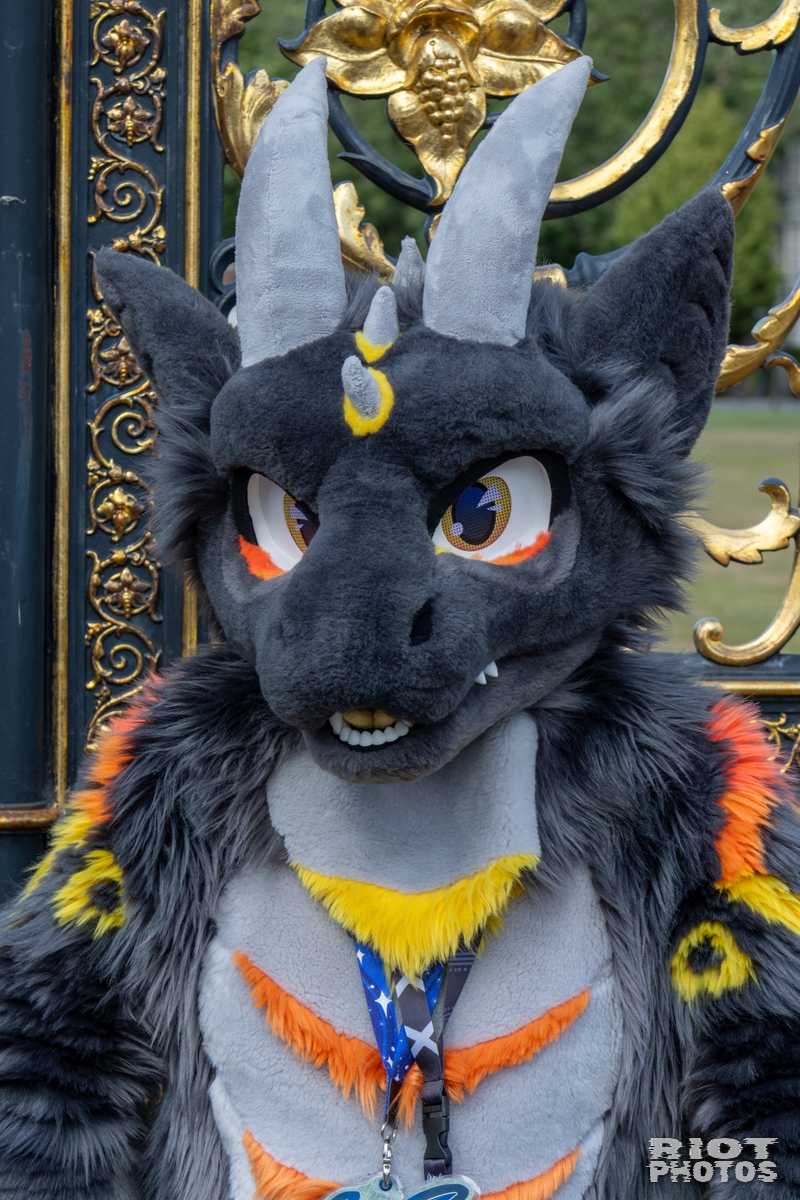 2025-08-31 WarringtonFurs-002.jpg