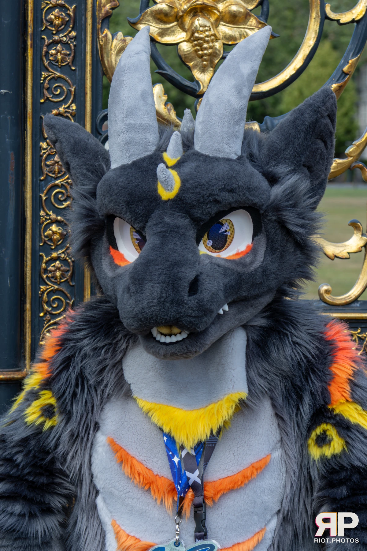 WarringtonFurs - August, 2025 — 31 Aug 2025, Fluffy Riot photography — photo 2
