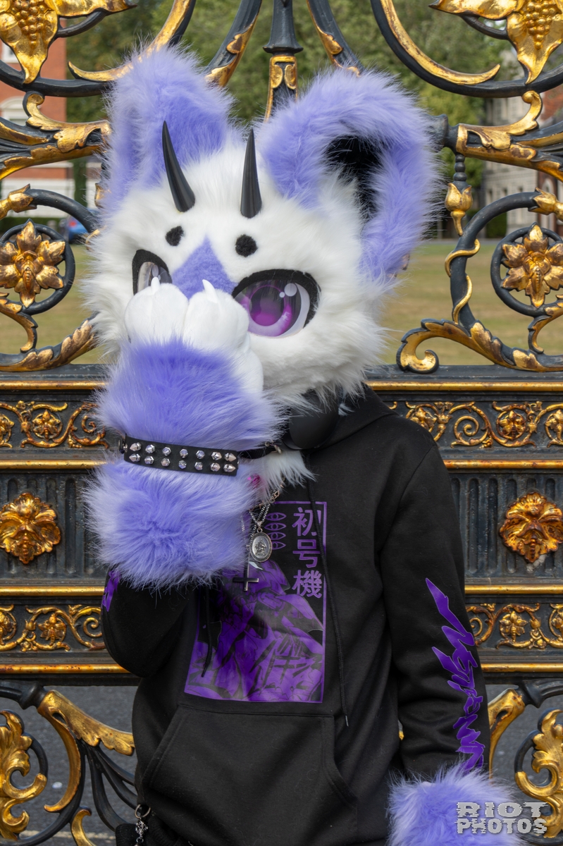 2025-08-31 WarringtonFurs-003.jpg