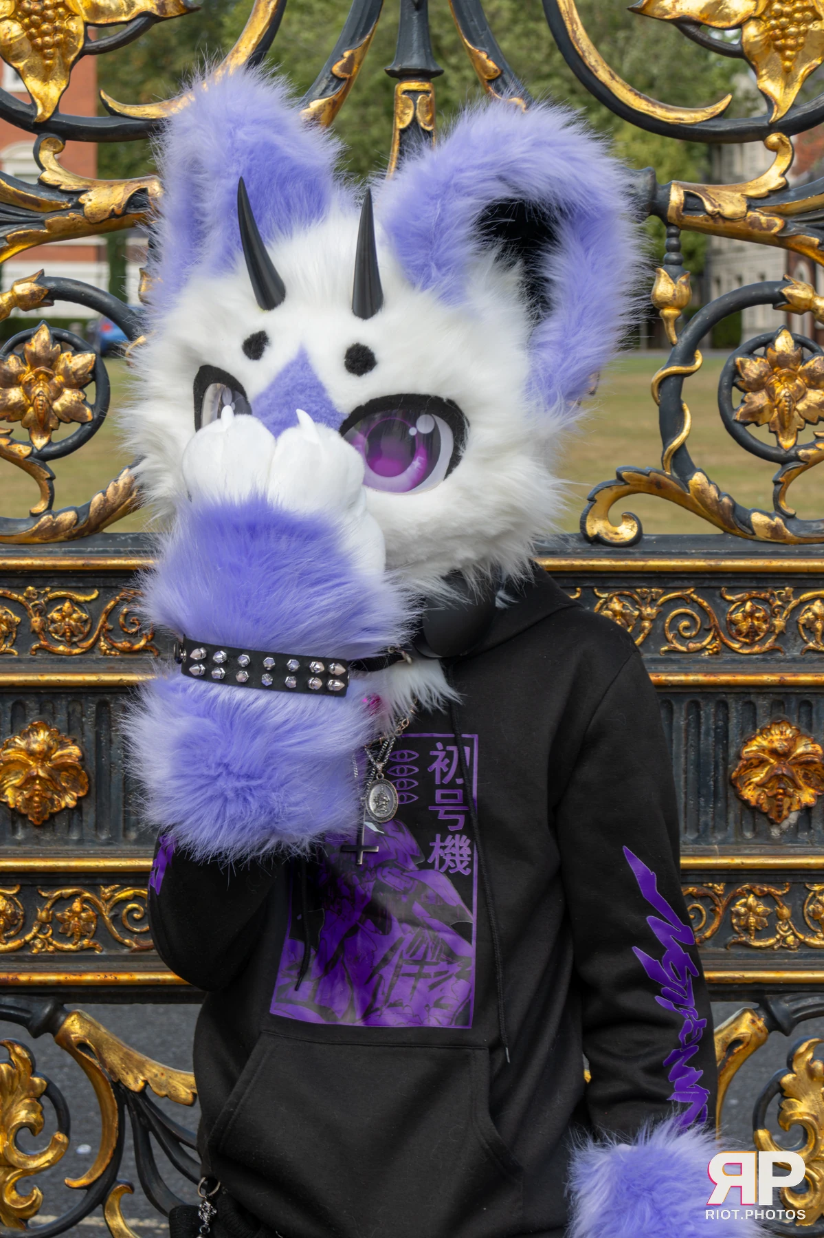 WarringtonFurs - August, 2025 — 31 Aug 2025, Fluffy Riot photography — photo 3