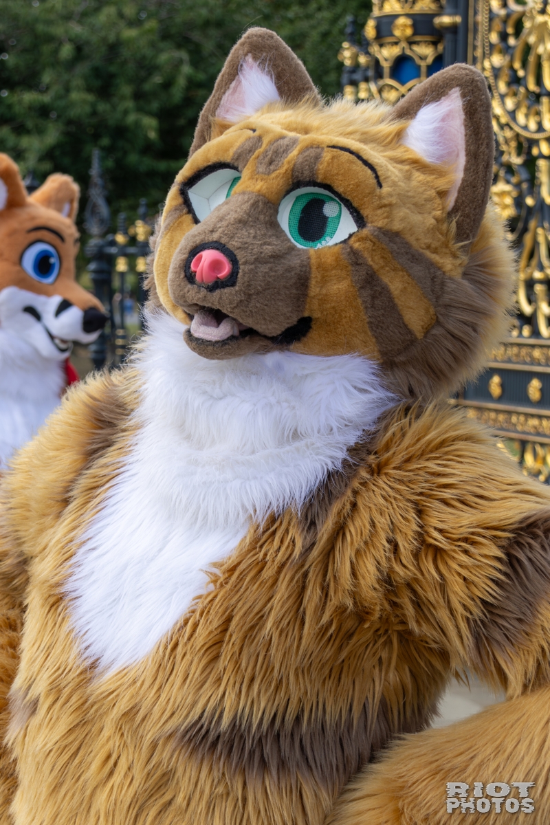 2025-08-31 WarringtonFurs-007.jpg