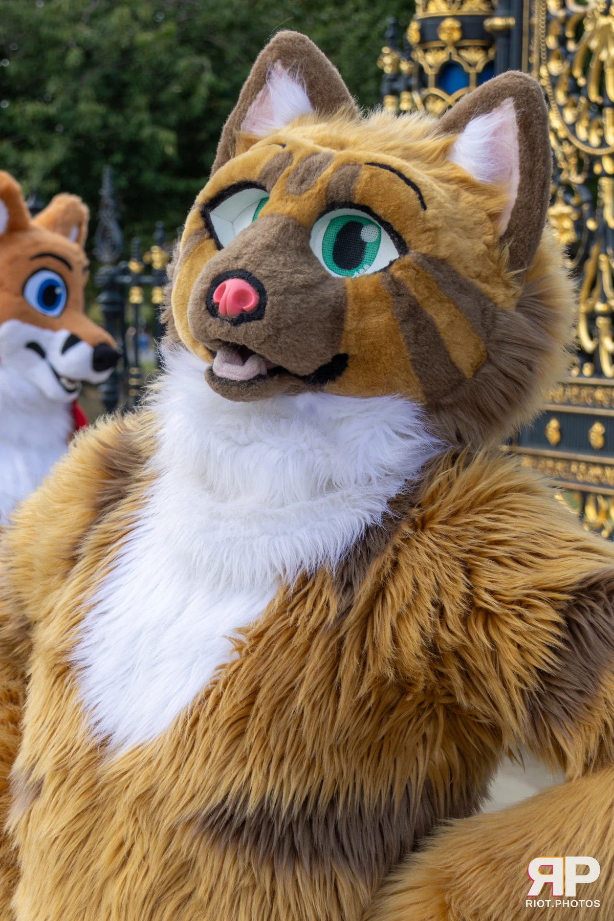 WarringtonFurs - August, 2025 — 31 Aug 2025, Fluffy Riot photography — photo 7