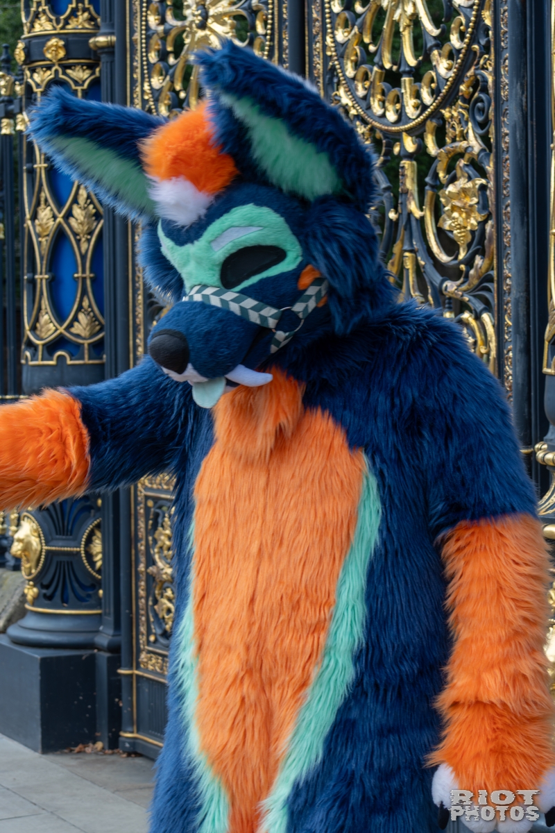 2025-08-31 WarringtonFurs-009.jpg