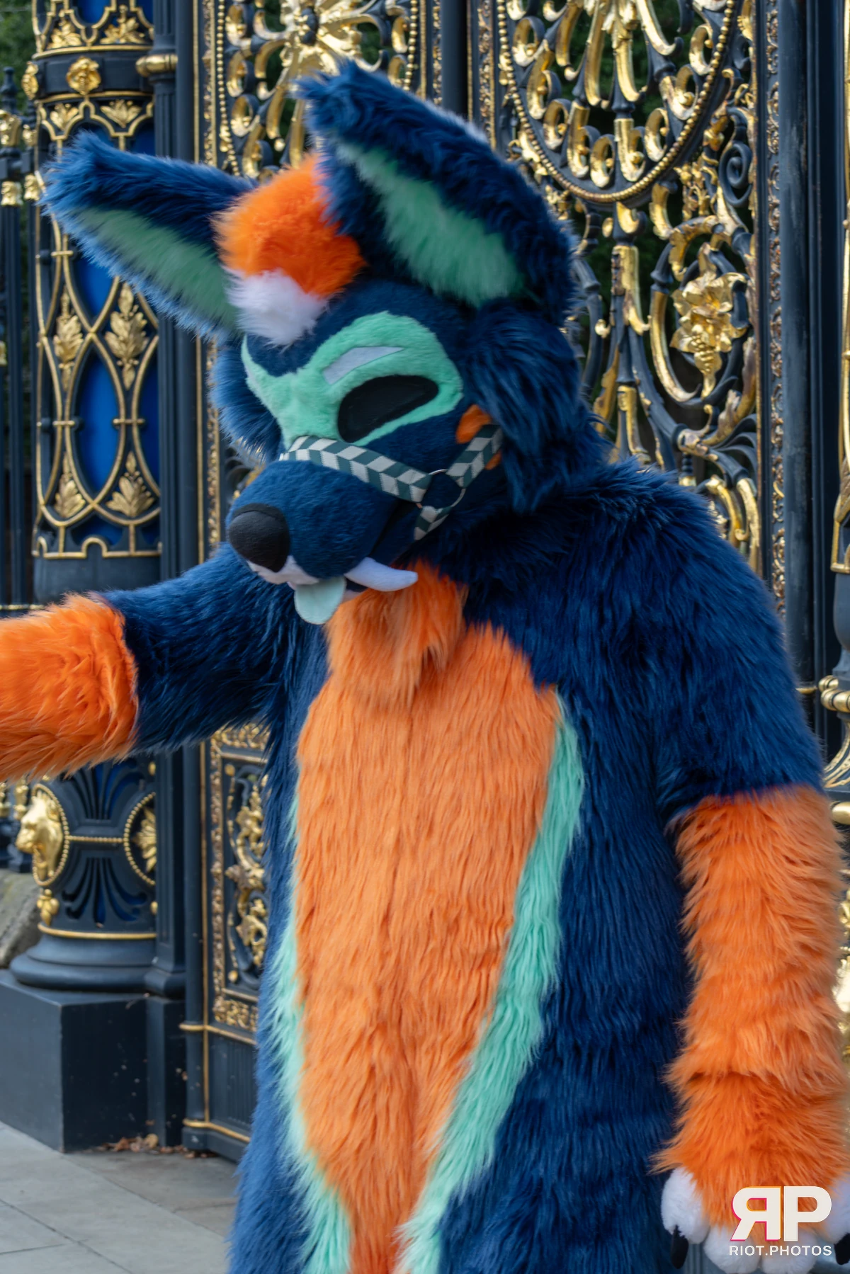 WarringtonFurs - August, 2025 — 31 Aug 2025, Fluffy Riot photography — photo 9