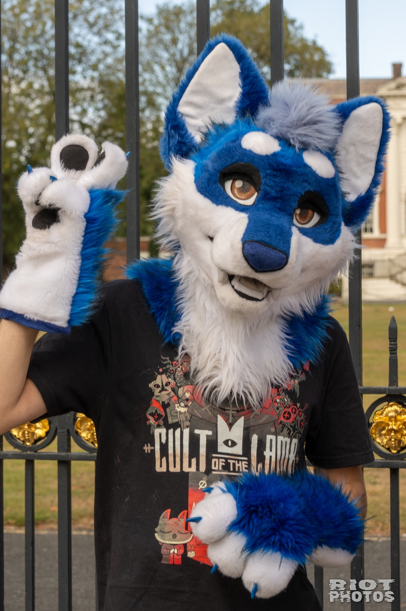 2025-08-31 WarringtonFurs-010.jpg