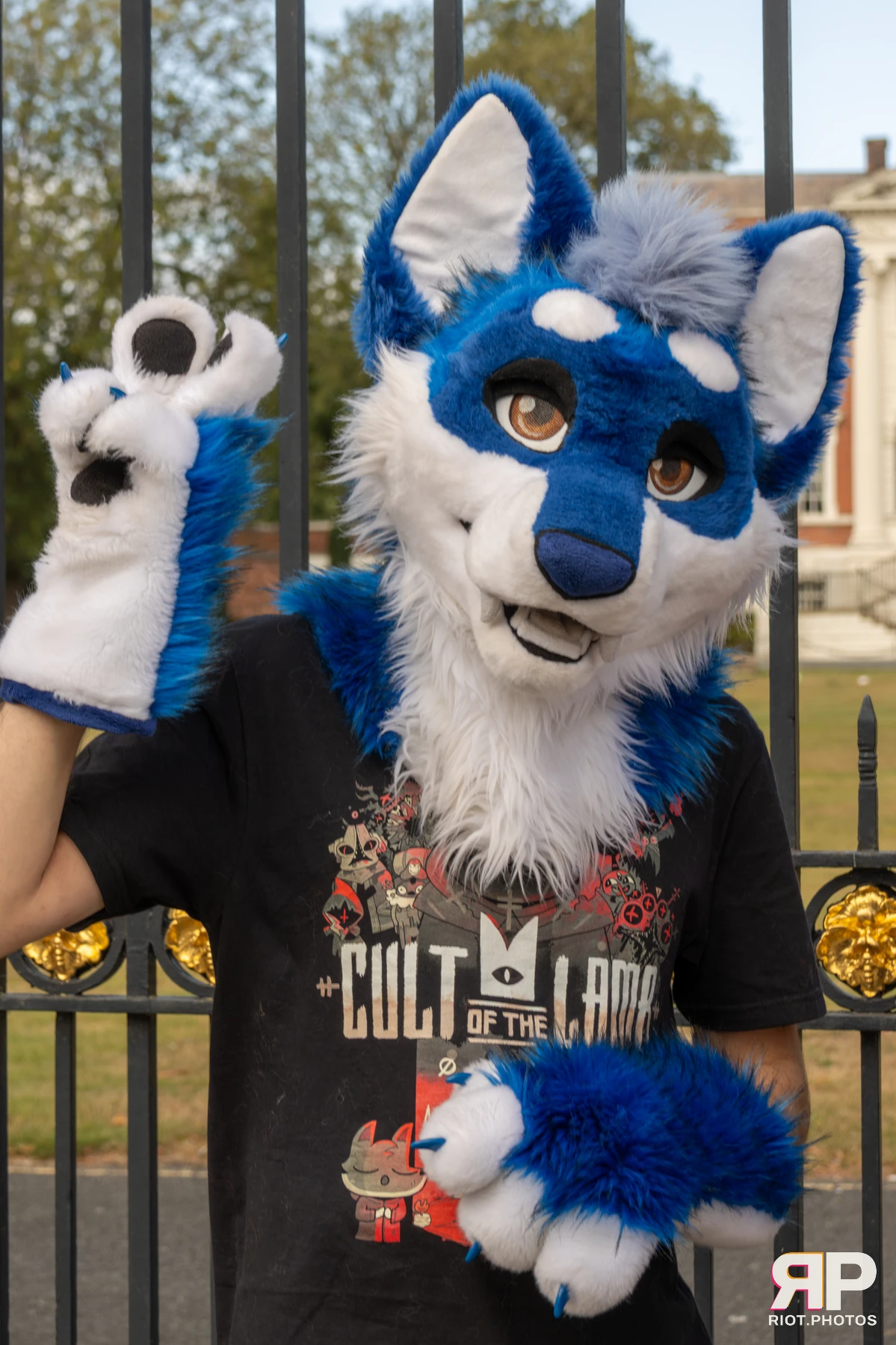 WarringtonFurs - August, 2025 — 31 Aug 2025, Fluffy Riot photography — photo 10