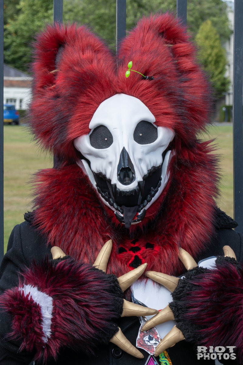 2025-08-31 WarringtonFurs-014.jpg