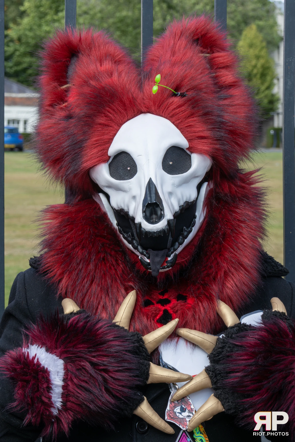 WarringtonFurs - August, 2025 — 31 Aug 2025, Fluffy Riot photography — photo 14
