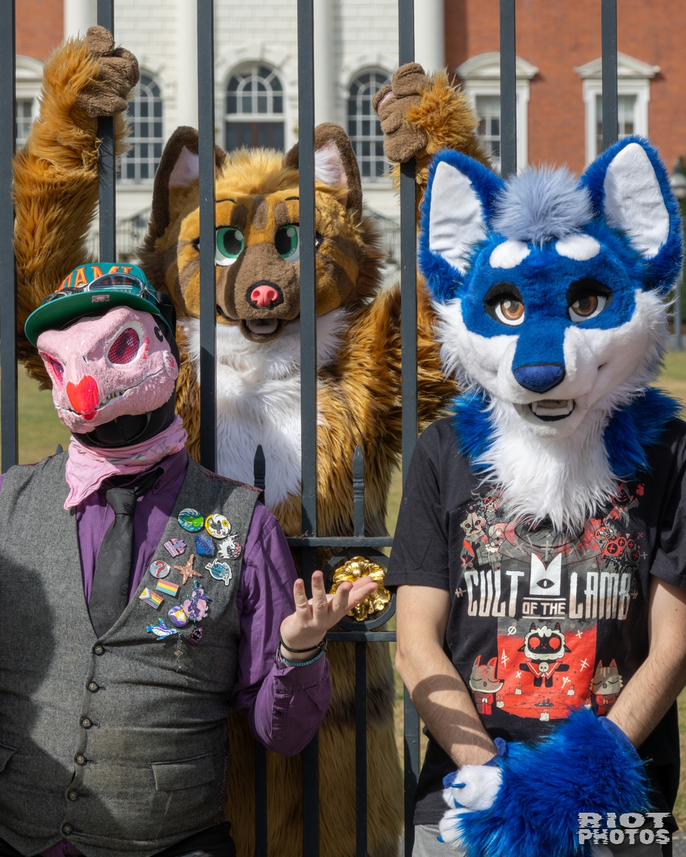 2025-08-31 WarringtonFurs-016.jpg