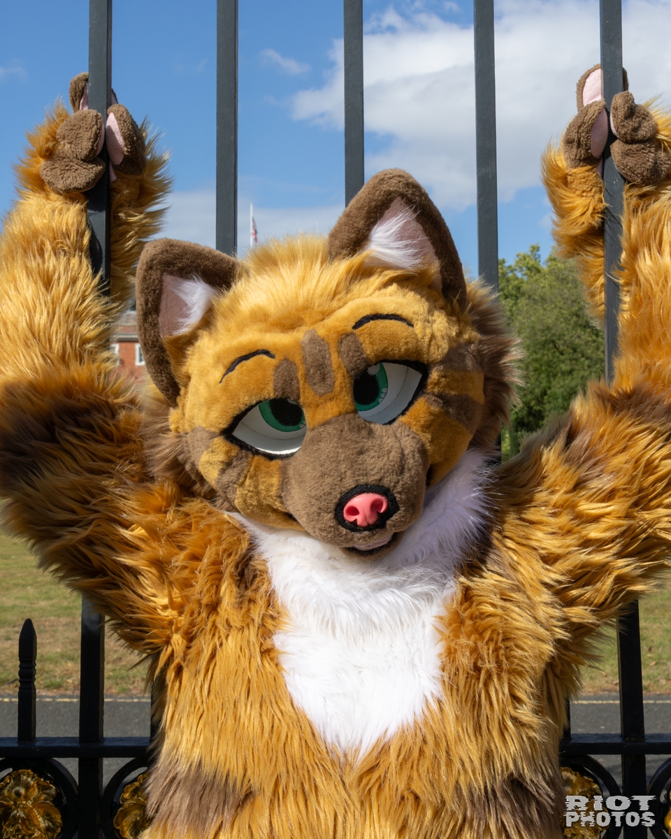 2025-08-31 WarringtonFurs-017.jpg