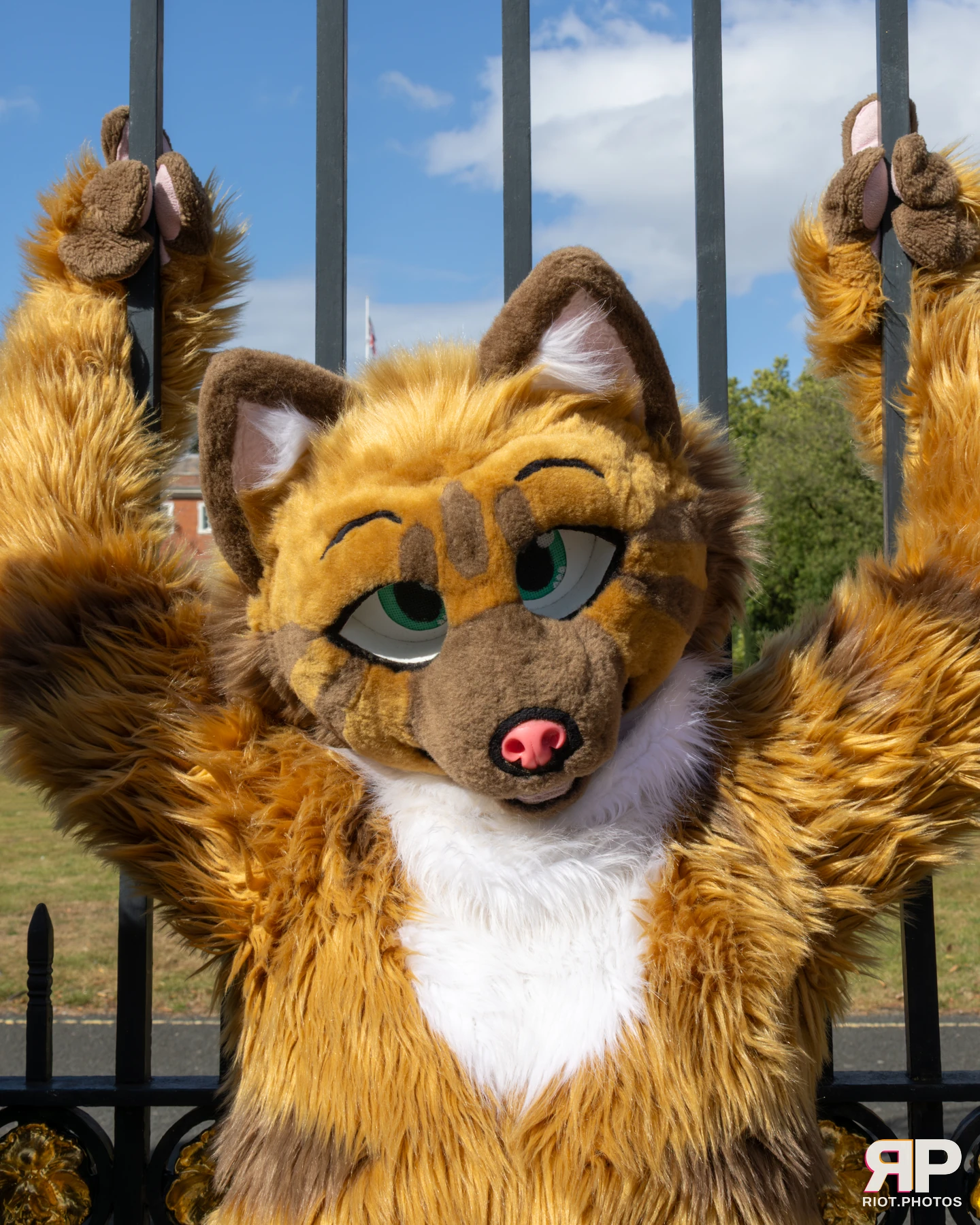 WarringtonFurs - August, 2025 — 31 Aug 2025, Fluffy Riot photography — photo 17