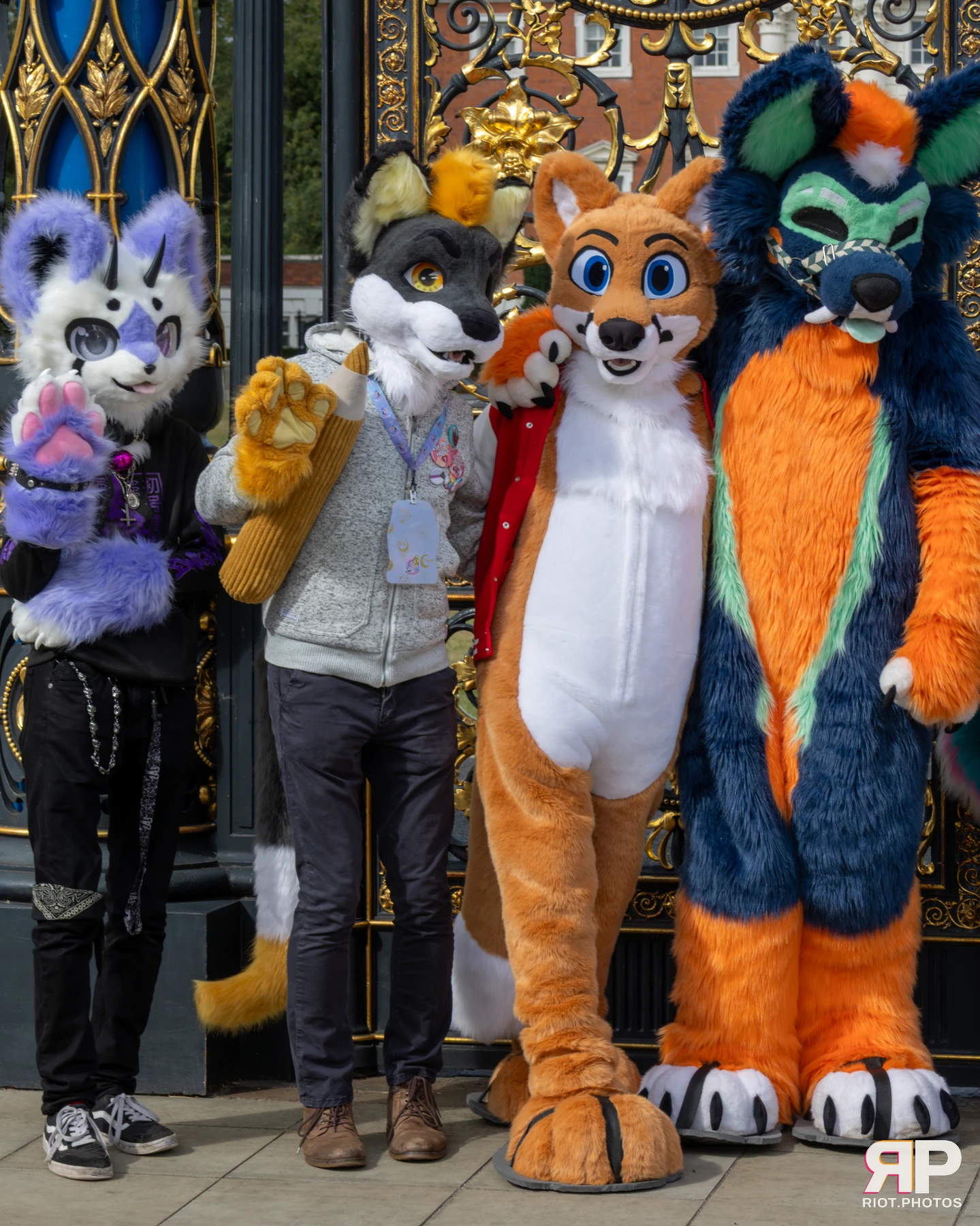 WarringtonFurs - August, 2025 — 31 Aug 2025, Fluffy Riot photography — photo 18