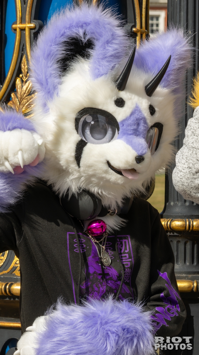 2025-08-31 WarringtonFurs-020.jpg