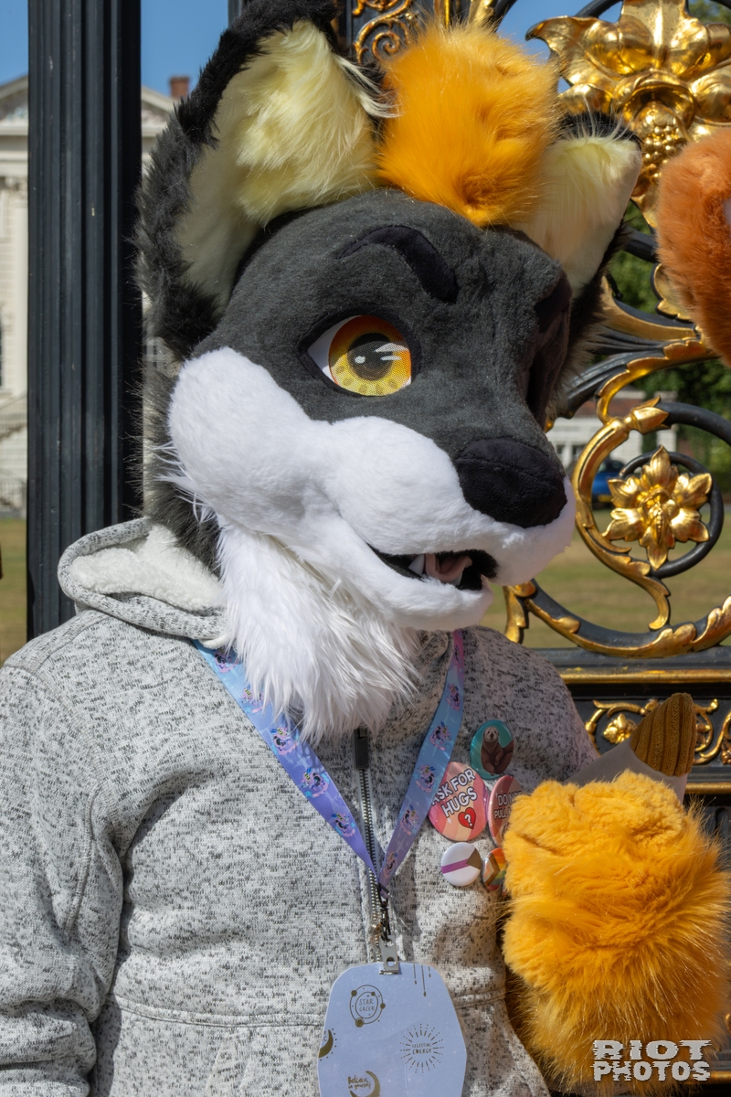 2025-08-31 WarringtonFurs-021.jpg
